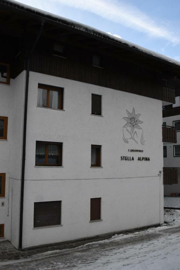 Ferienwohnung Steila da Mont Campitello Campitello di Fassa Exterior foto